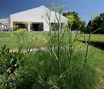 Kings Walden Garden Manor Hotell Tzaneen Exteriör bild